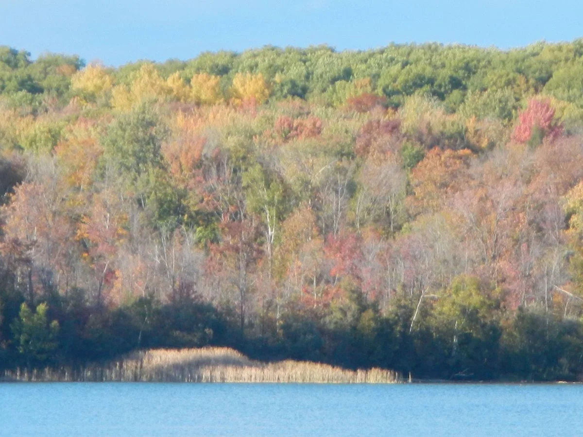 Douglas Lake.webp