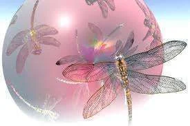 dragon fly.webp