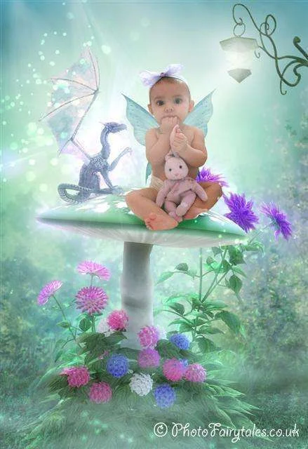 Dragons and Fairies web.webp