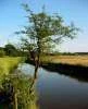 drenthe4.webp