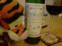 Drinking wine.webp