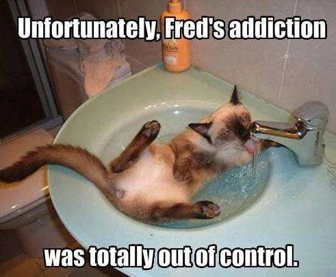 drowning sorrows.webp
