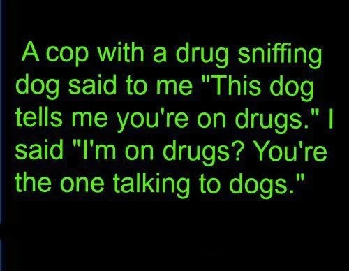 Drug Dog.webp