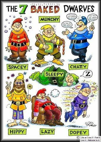 drug dwarves.webp