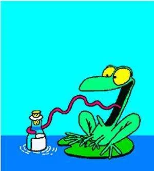 drunk frog.webp