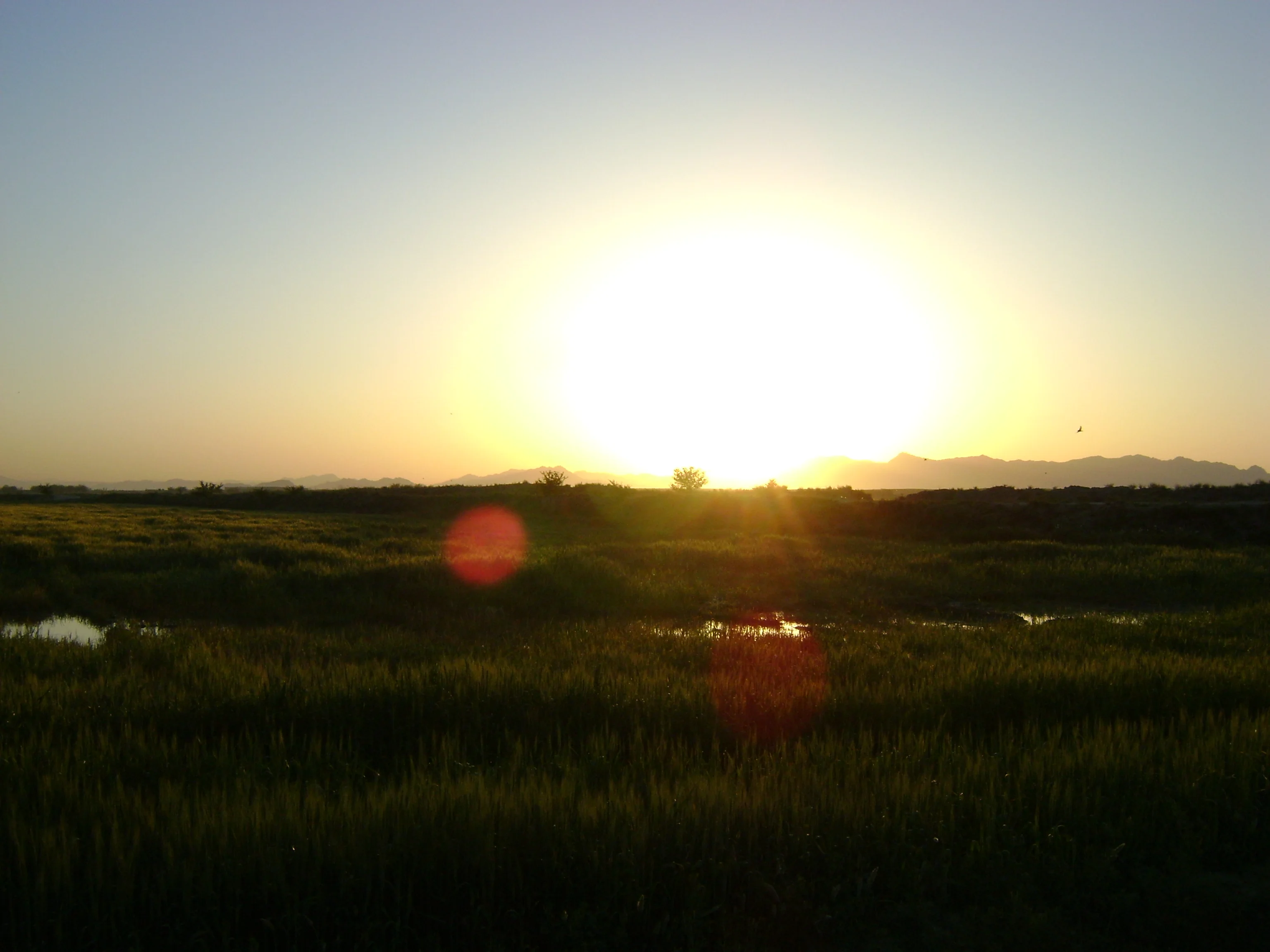 DSC00076.webp