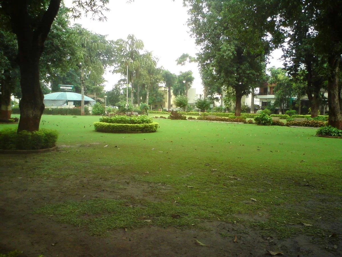 DSC00354.webp