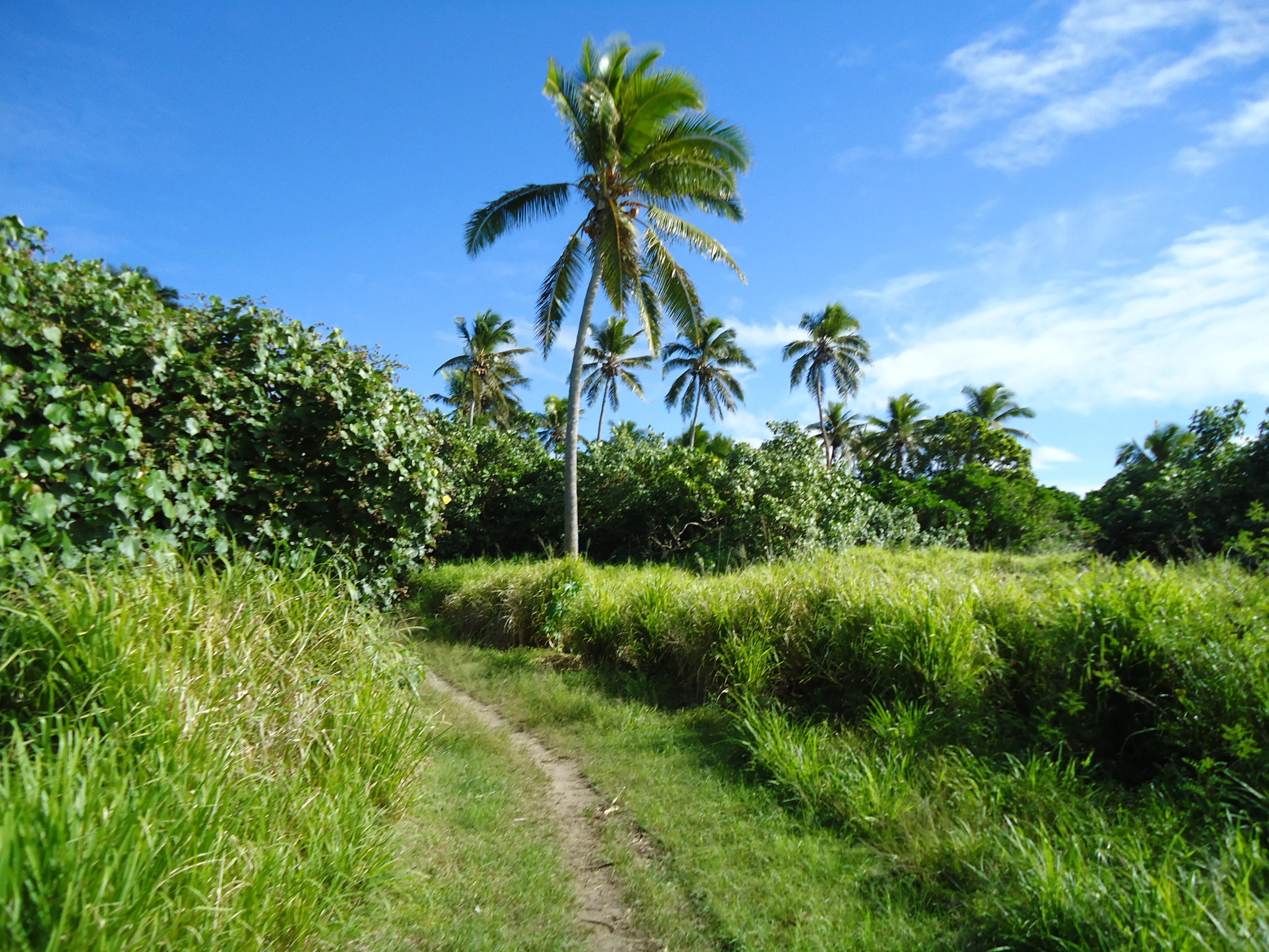 DSC00833.webp