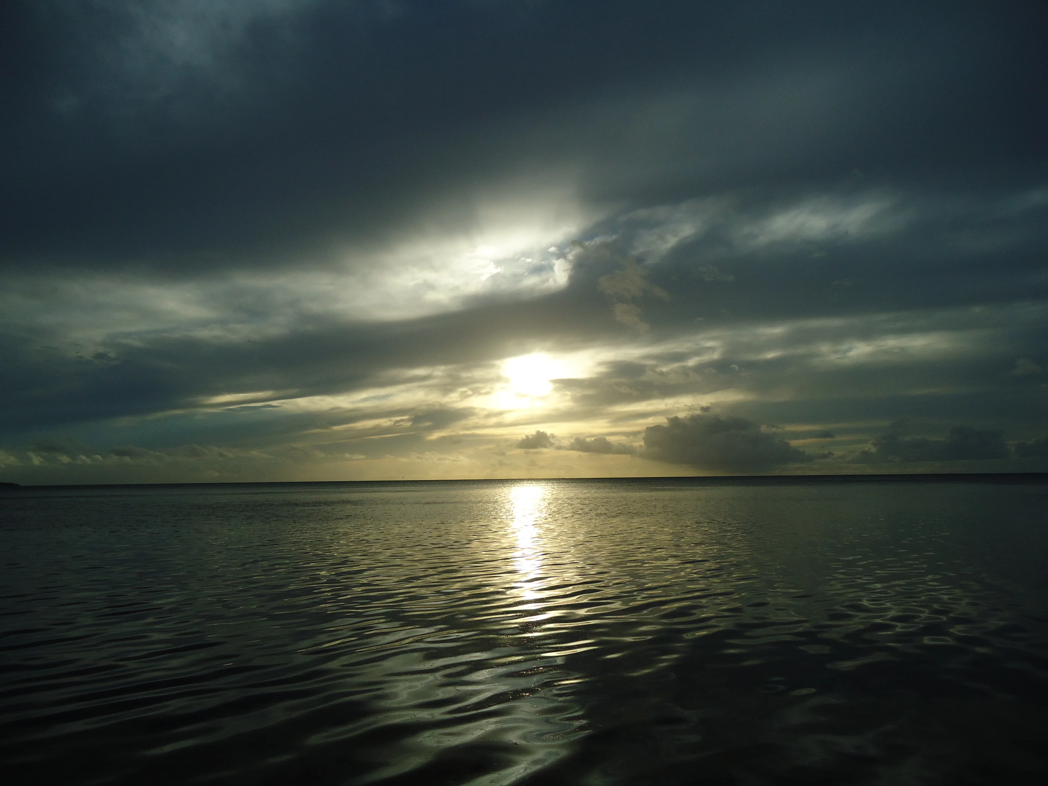 DSC00887.webp
