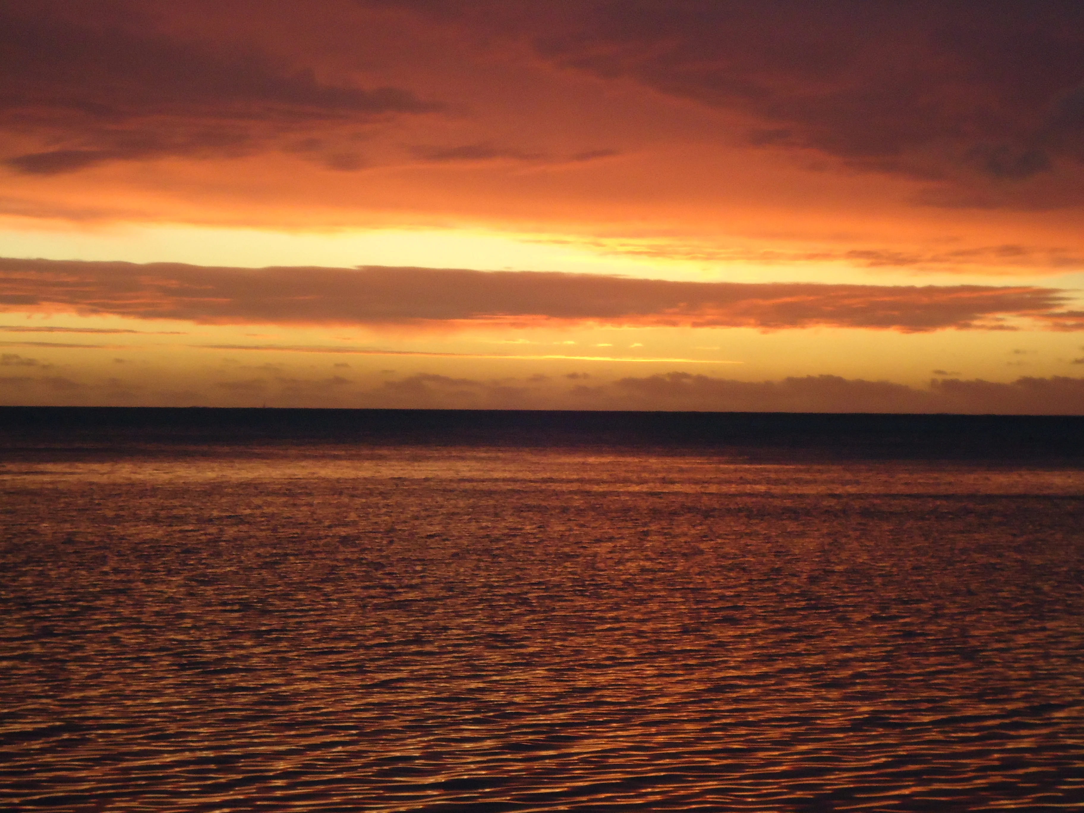 DSC00929.webp