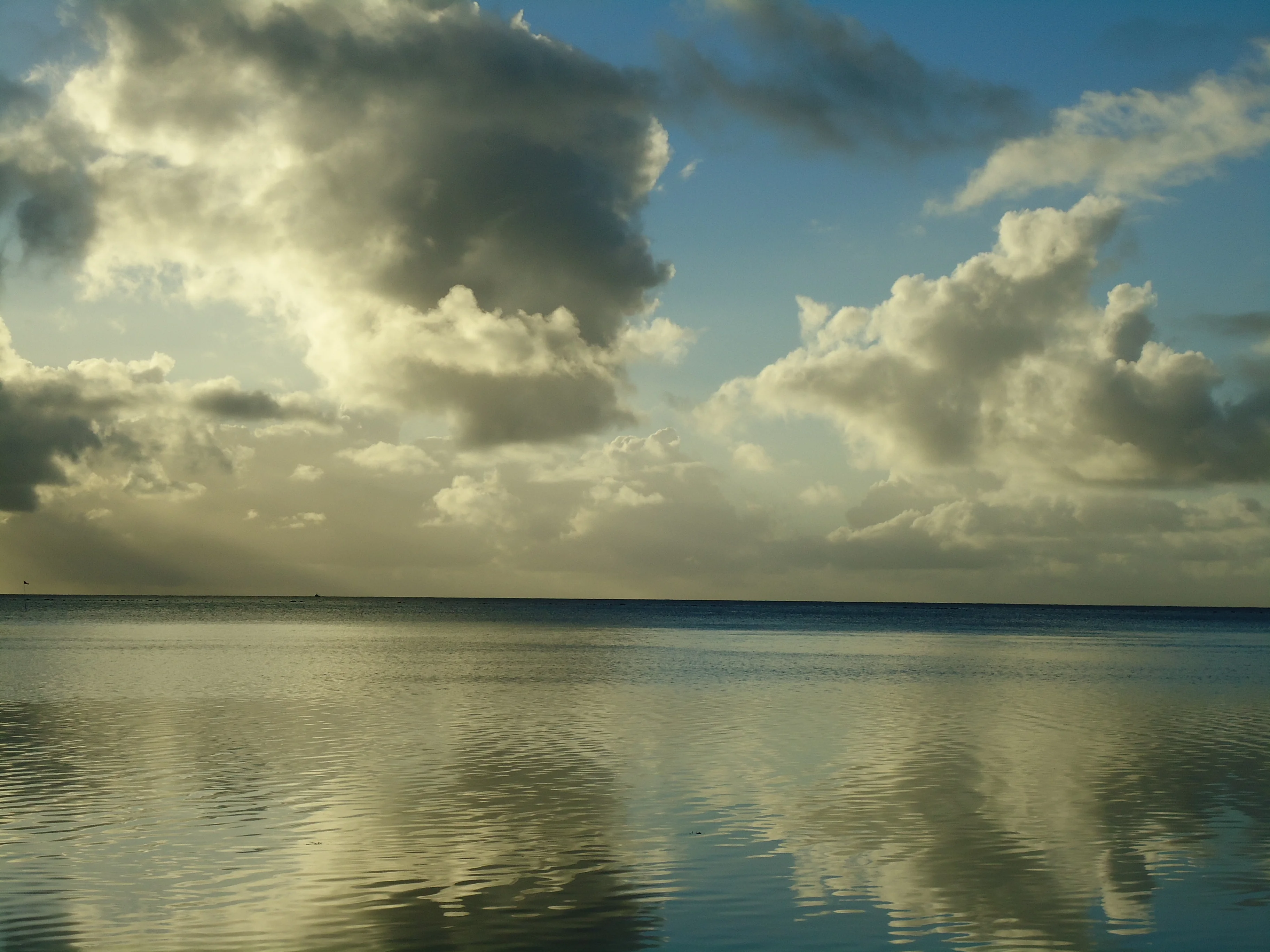 DSC01014.webp
