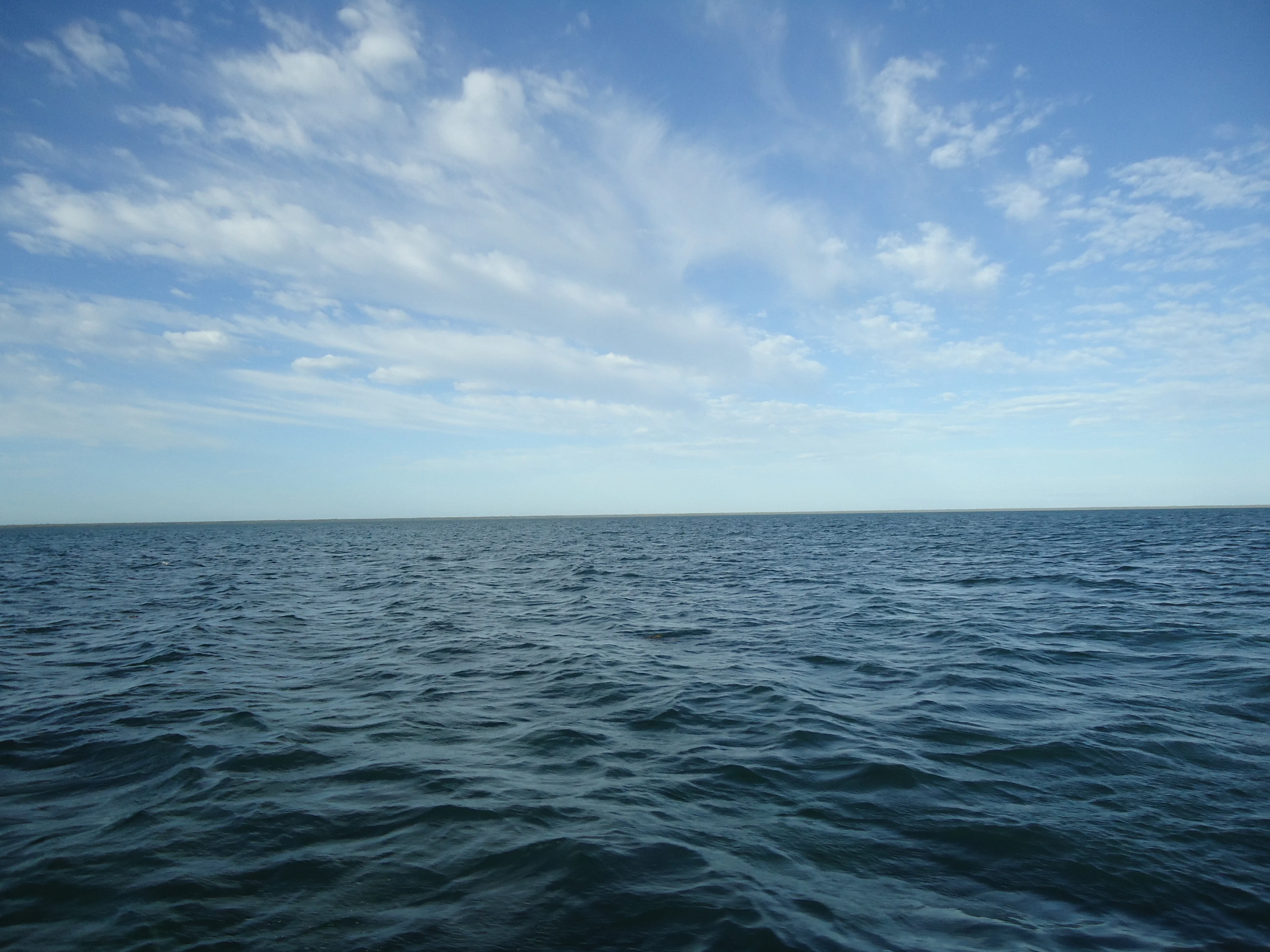 DSC01109.webp