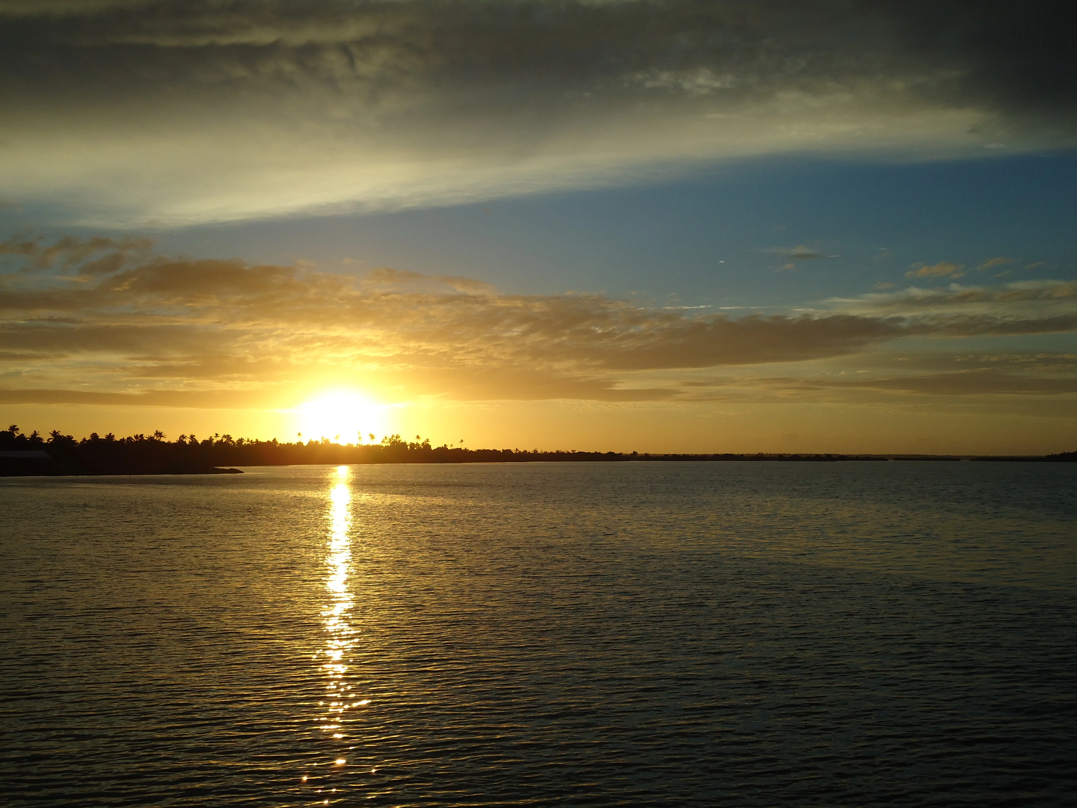 DSC01205.webp