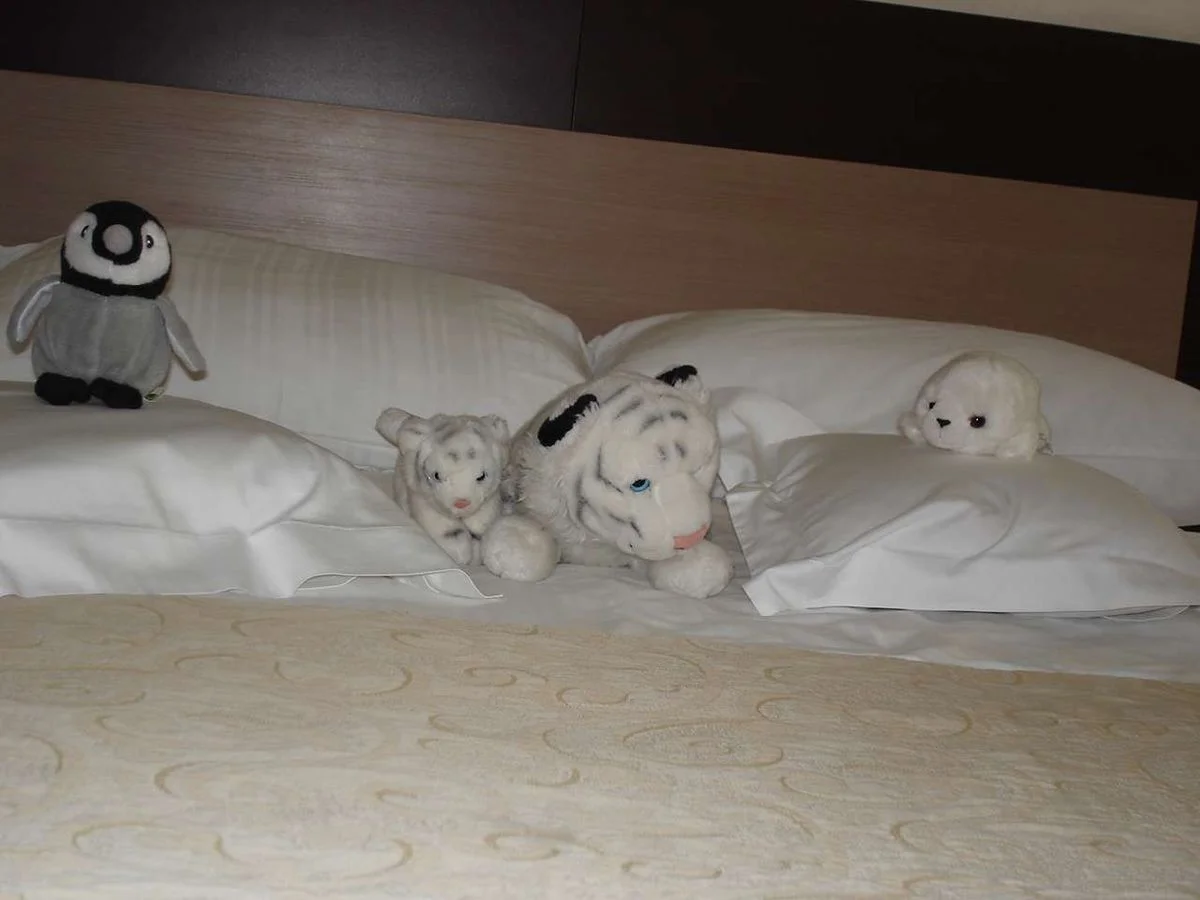 DSC05118.webp