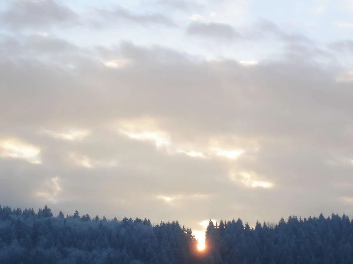 DSC05218.webp