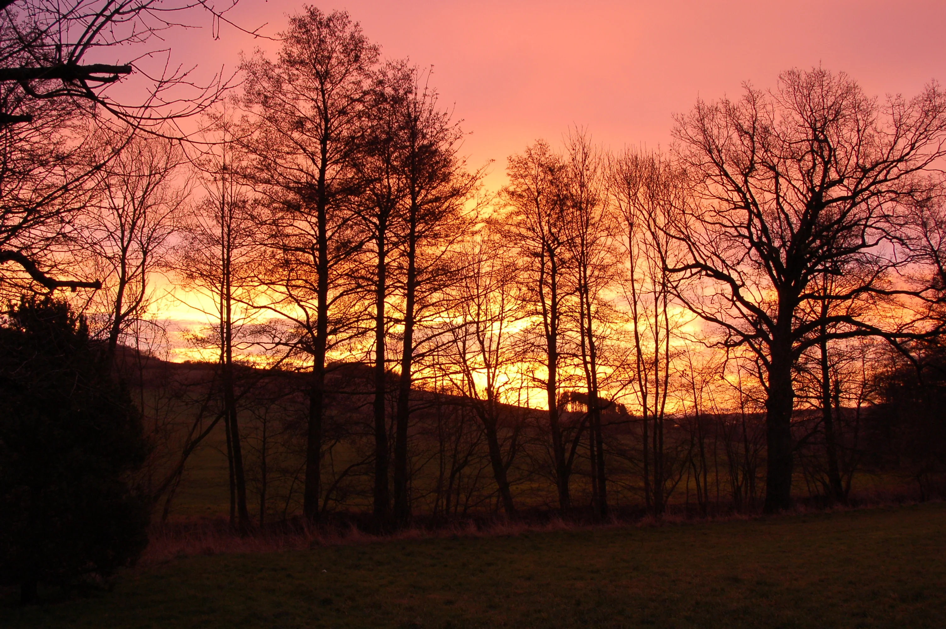DSC_0031.webp