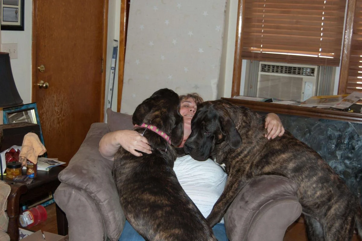 DSC_0040-1.webp