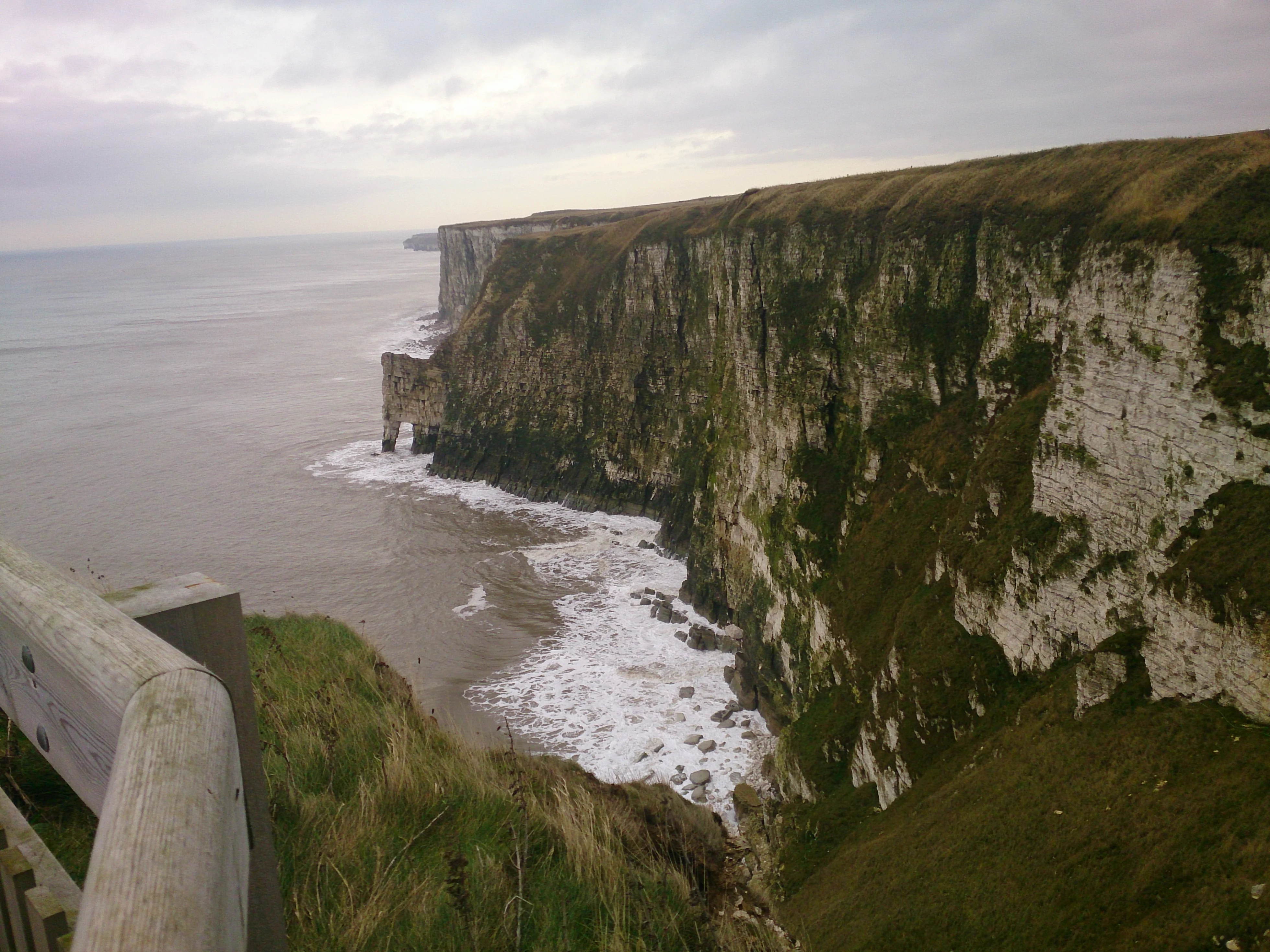 DSC_0043.webp