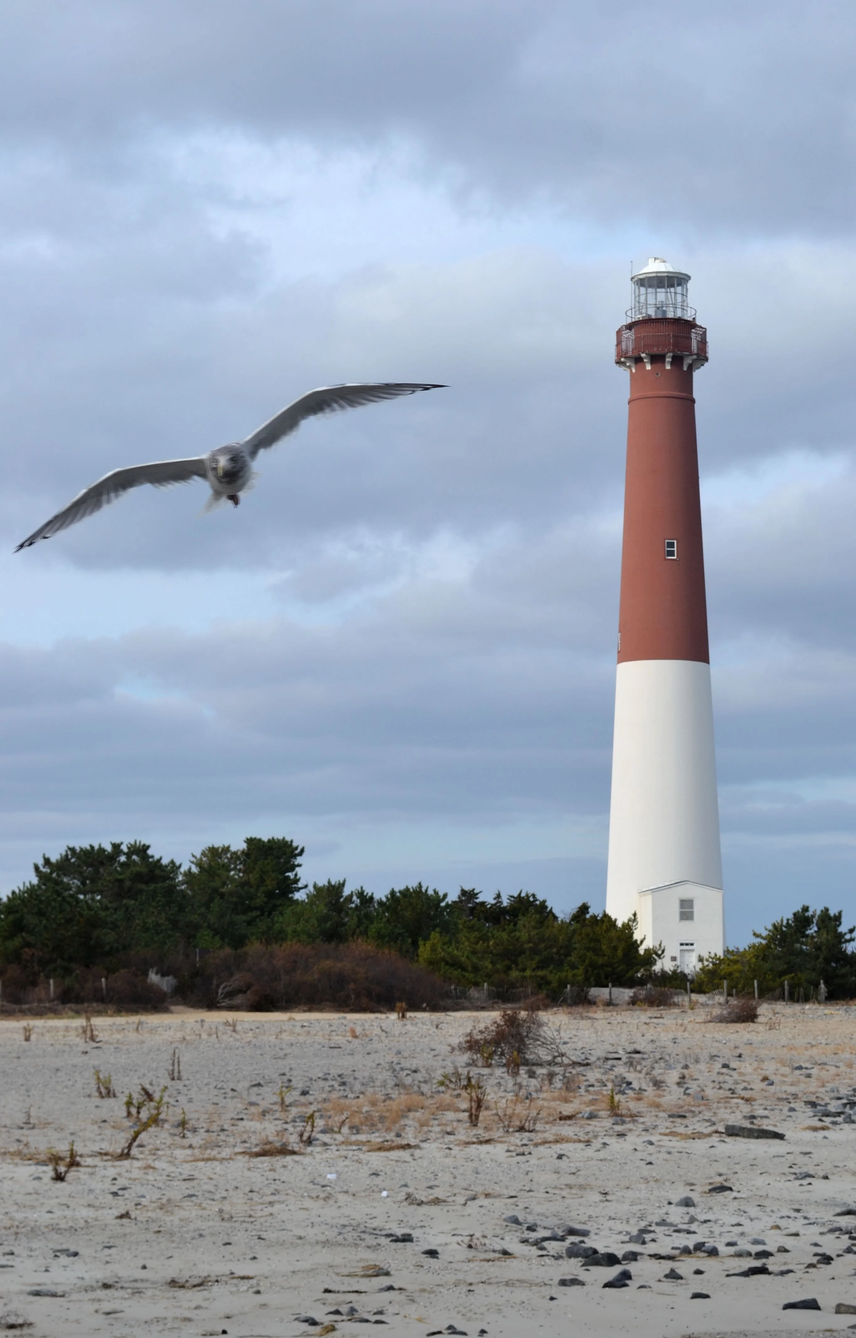 DSC_0183.webp