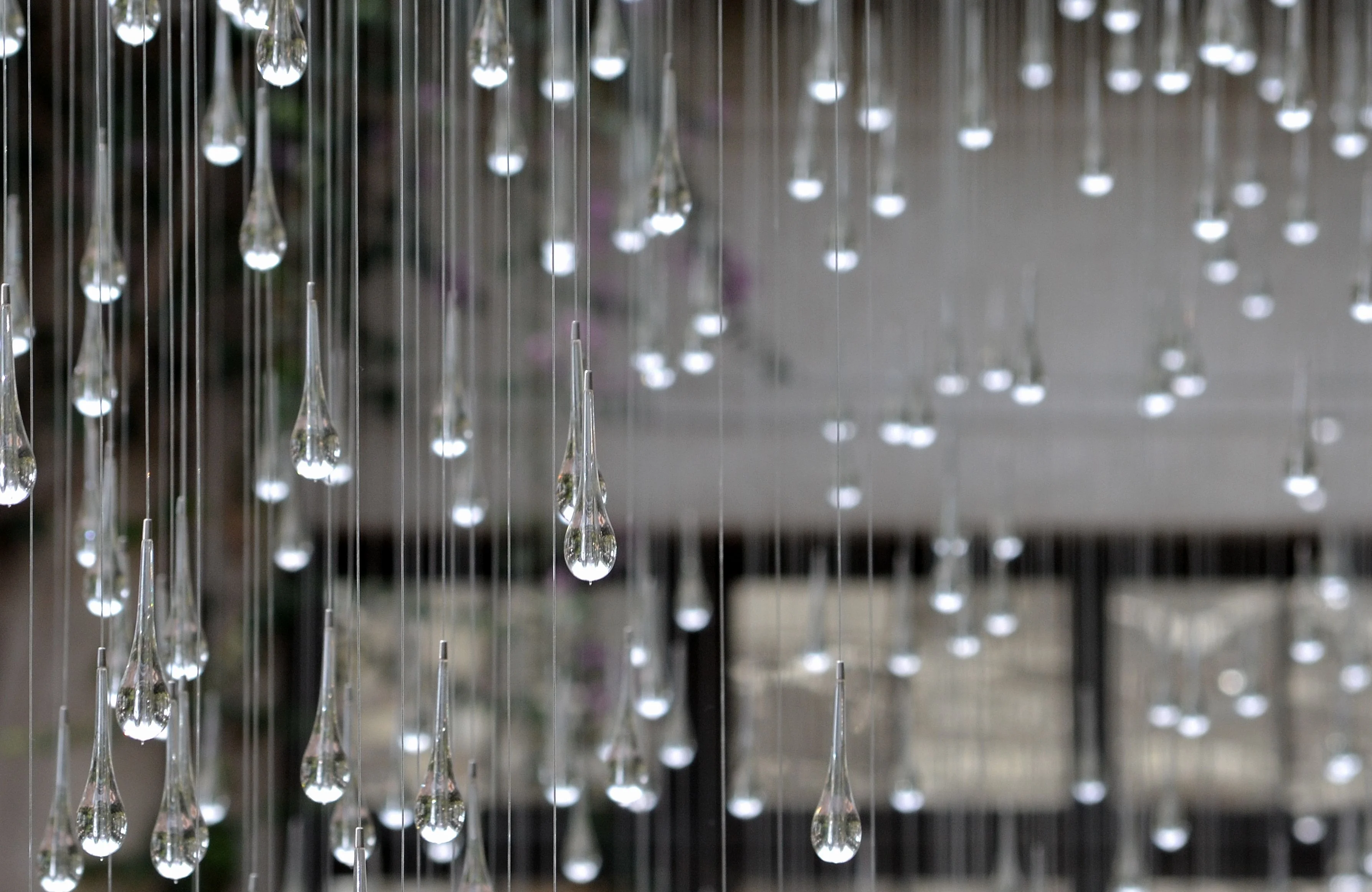 DSC_0218.webp