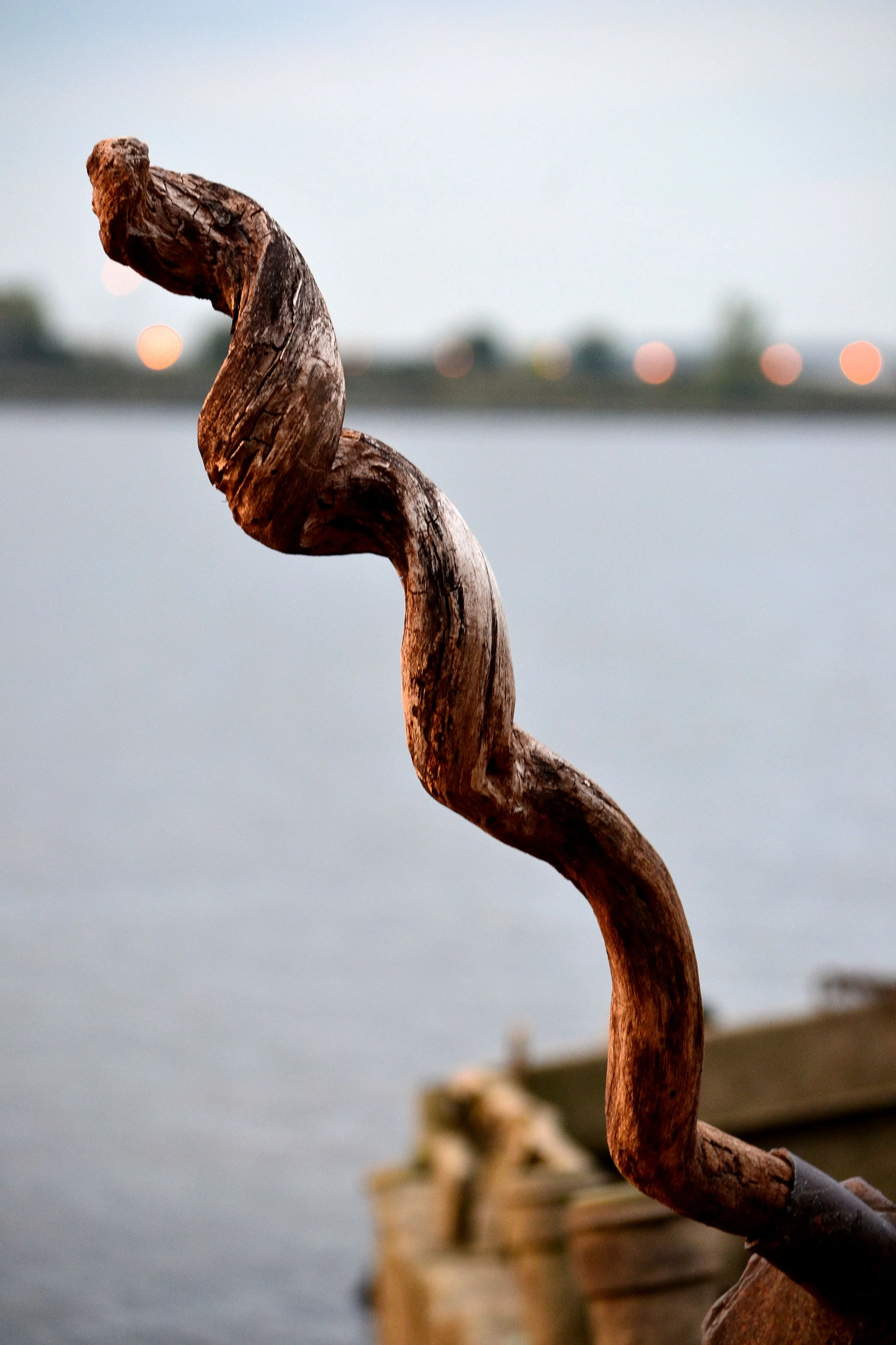 DSC_0239.webp
