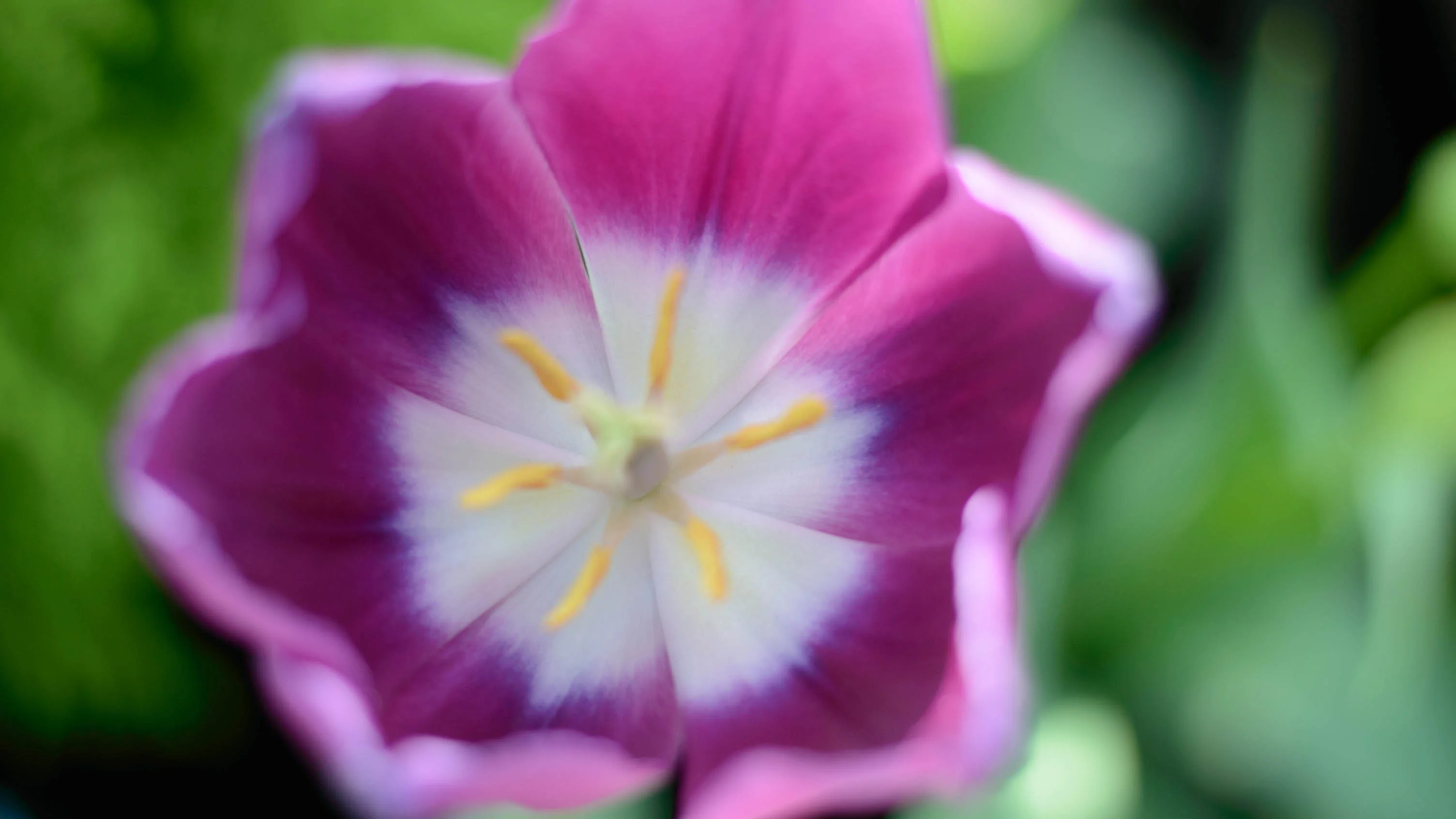 DSC_1150-1.webp