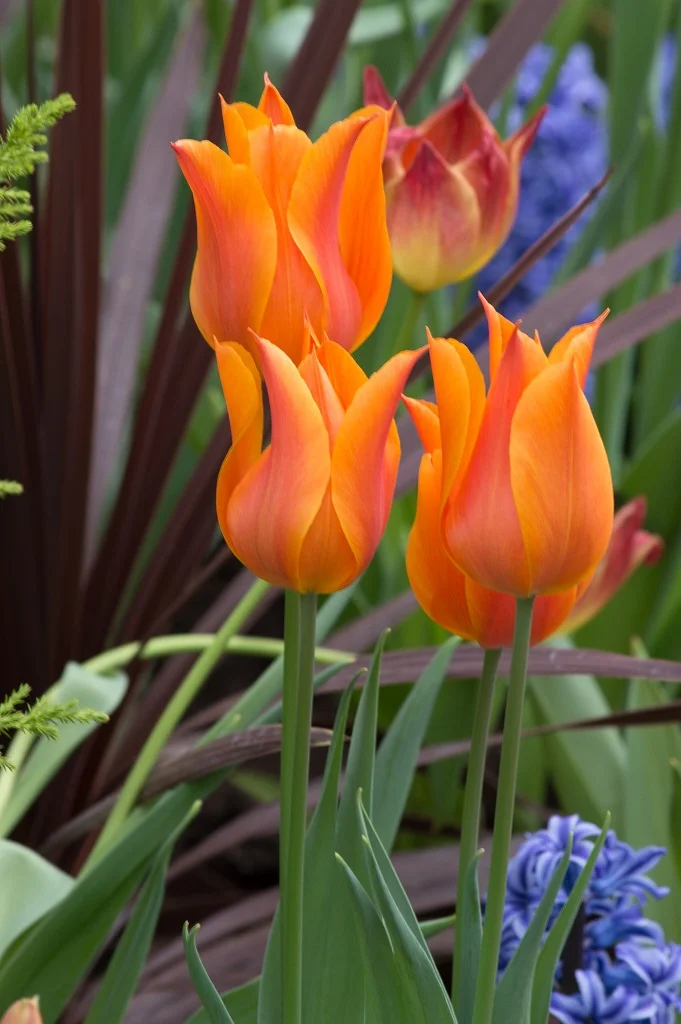 DSC_1260.webp