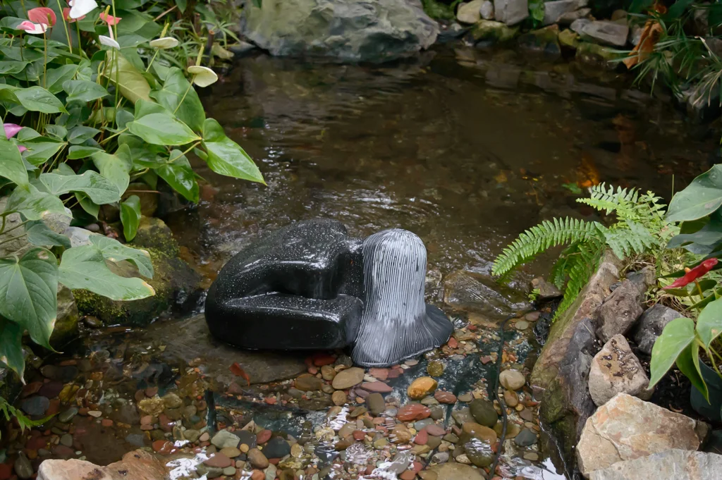 DSC_2729.webp