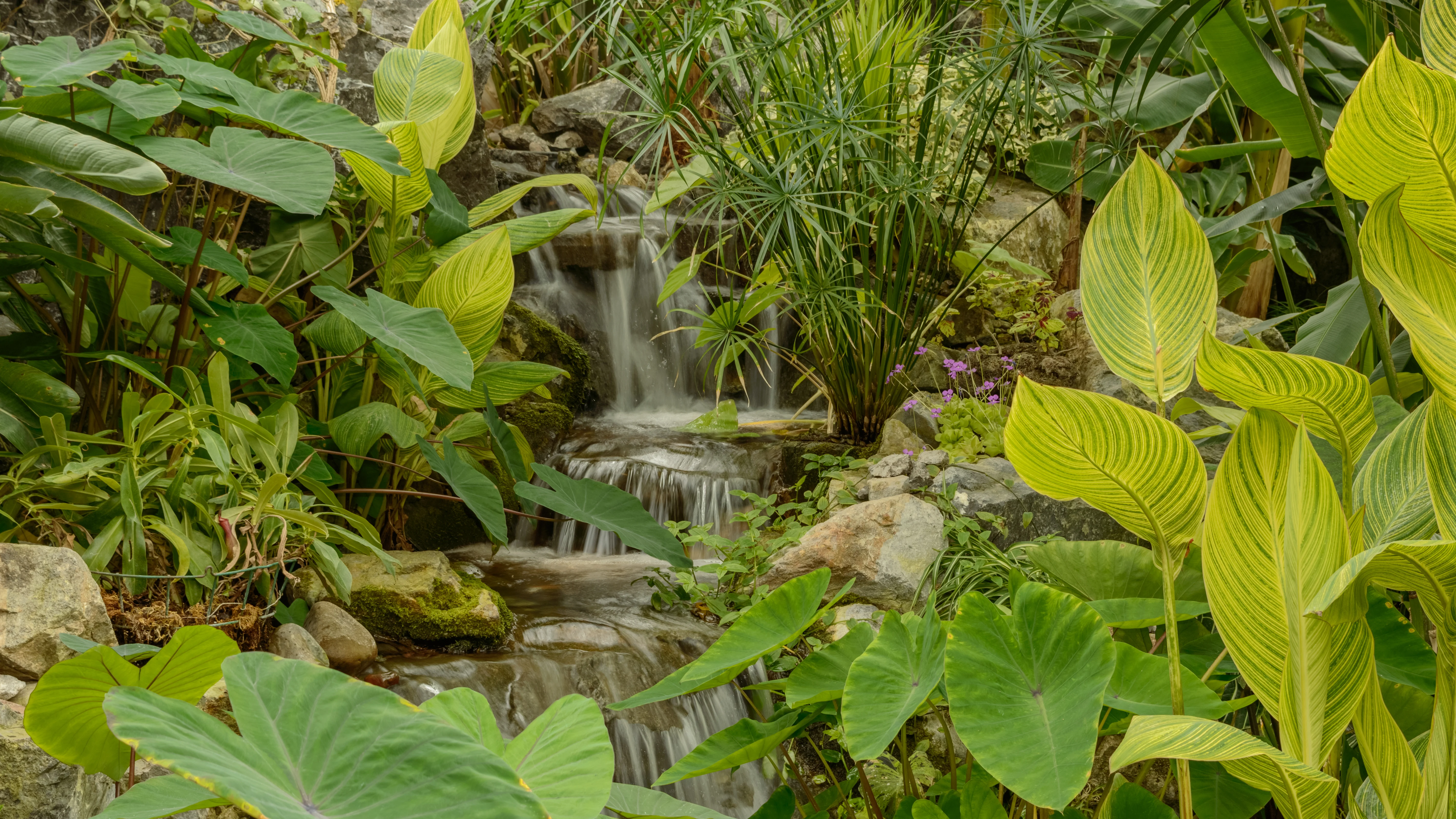 DSC_2732-HDR-2.webp