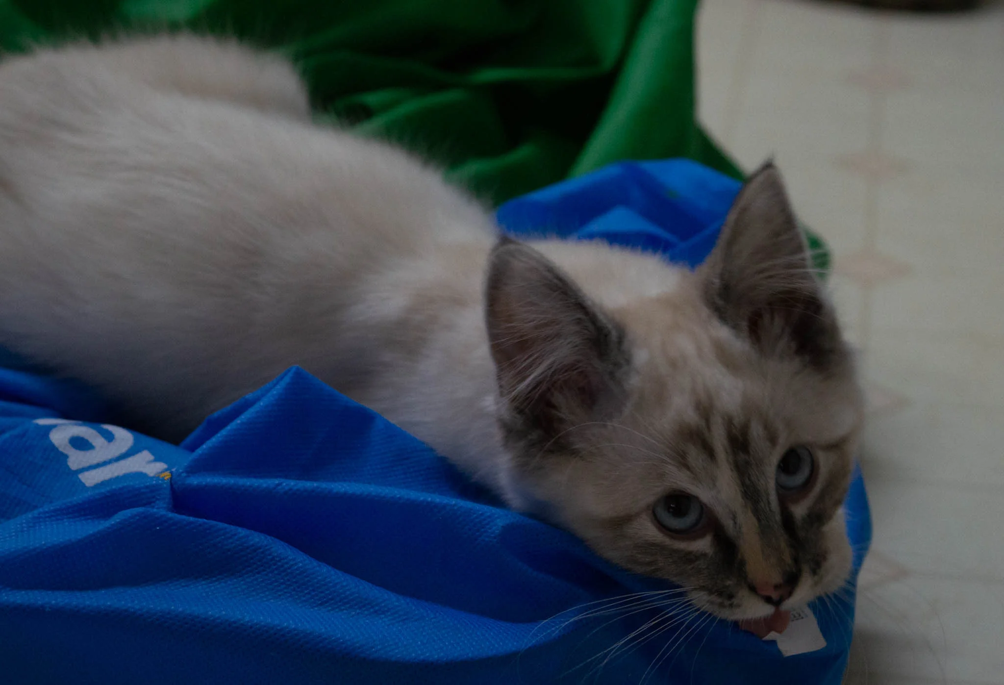 DSC_5764.webp