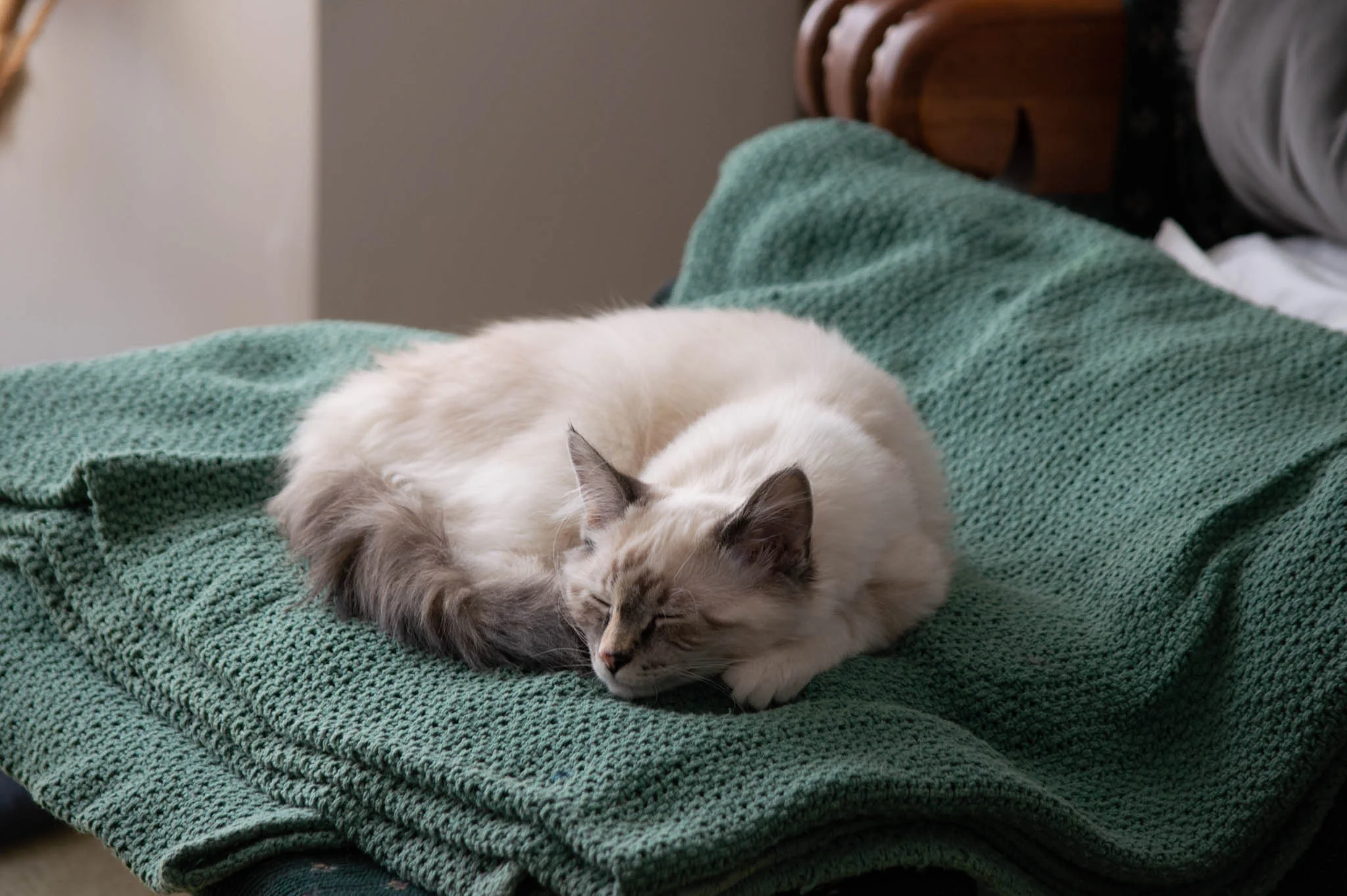DSC_5814.webp