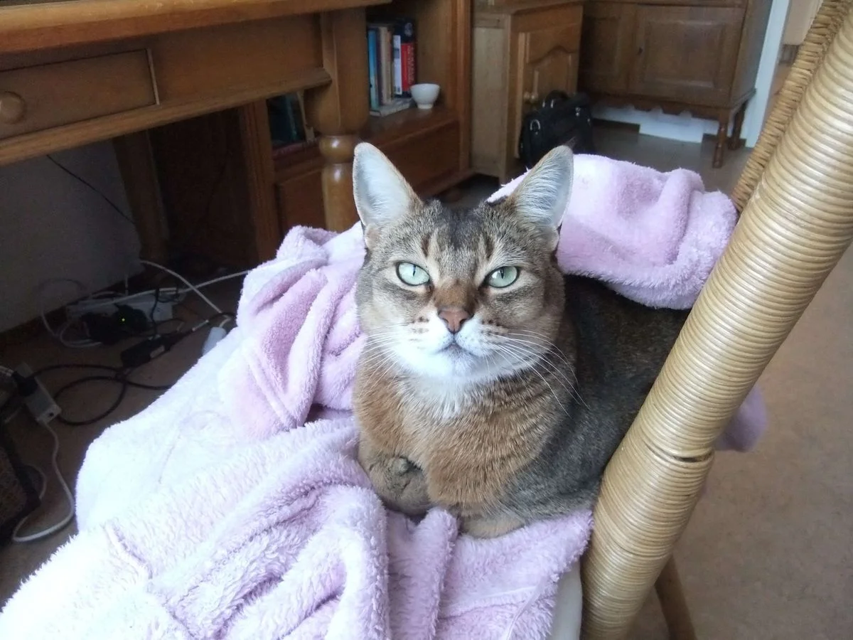 DSCF0344.webp