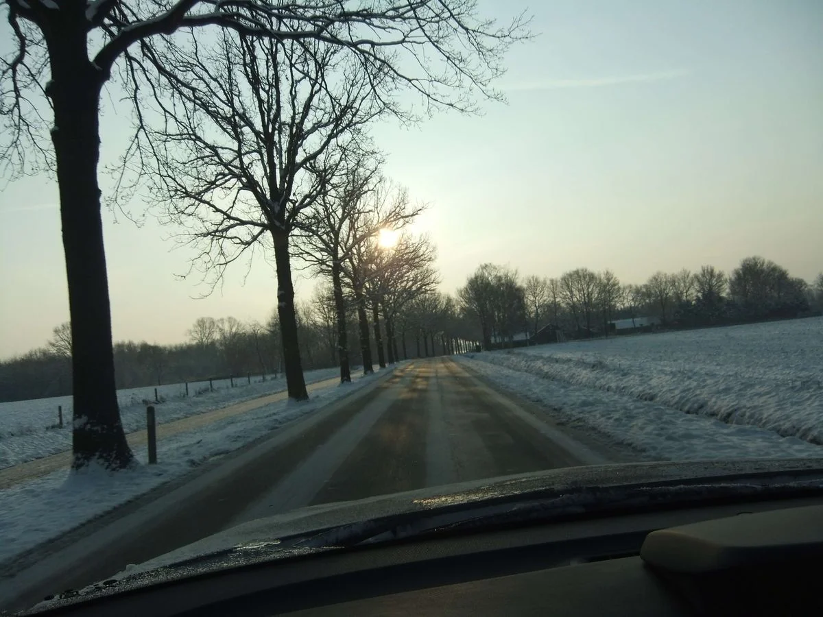 DSCF0501.webp