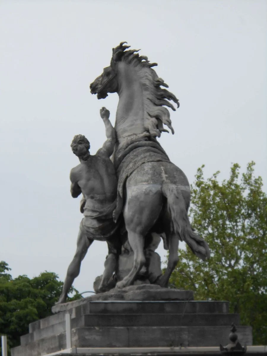 DSCN0028.webp
