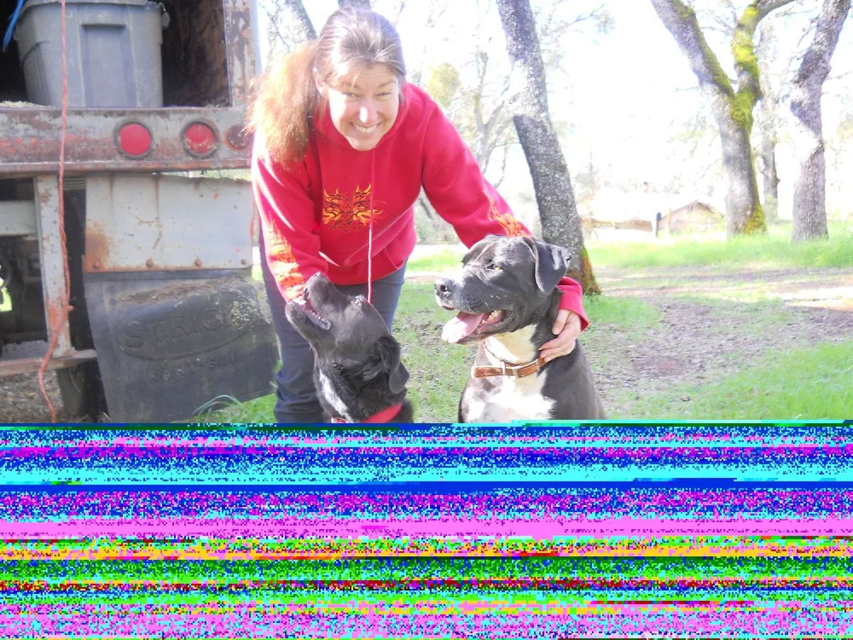 DSCN0034.webp