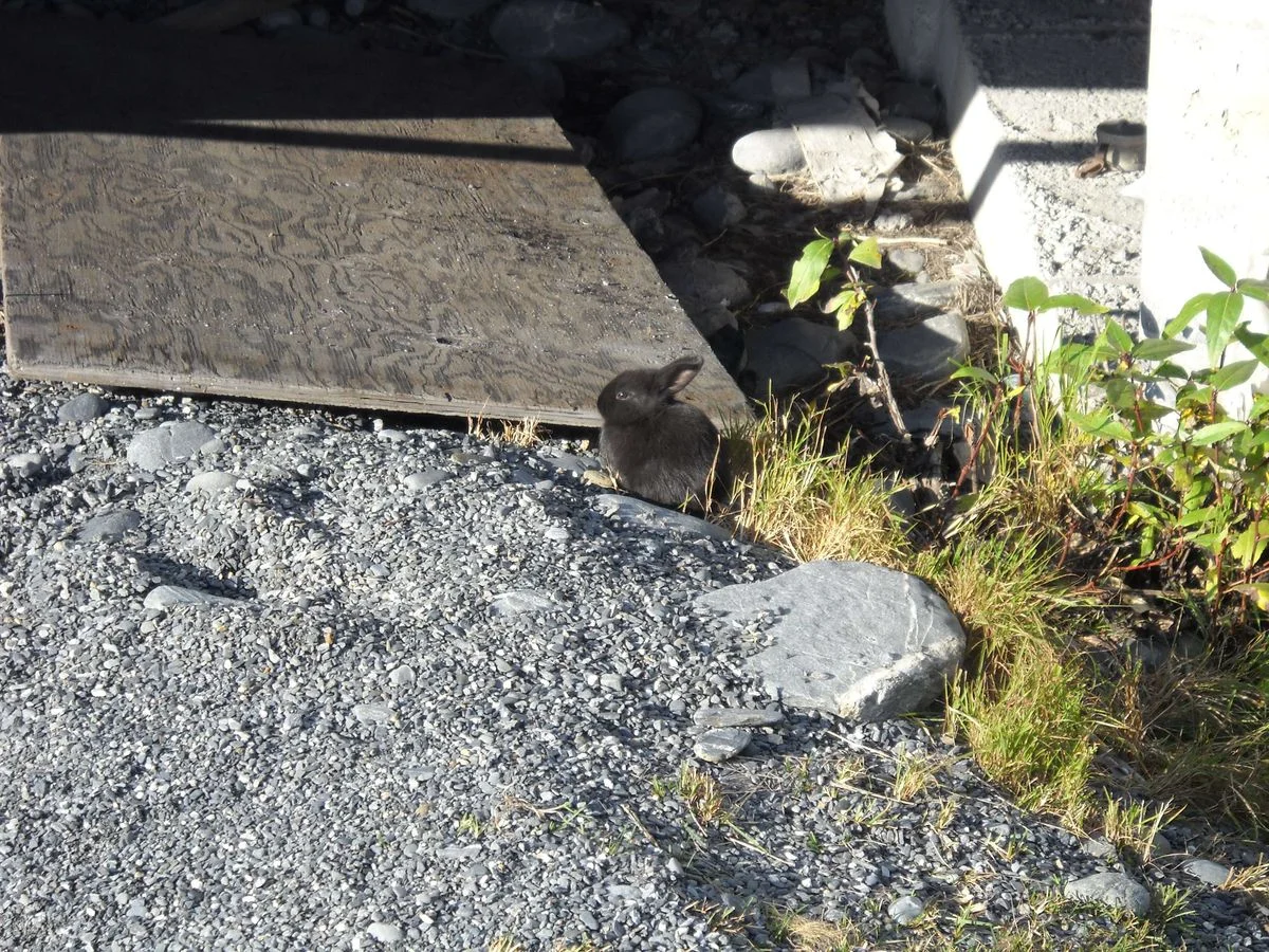 DSCN0040.webp