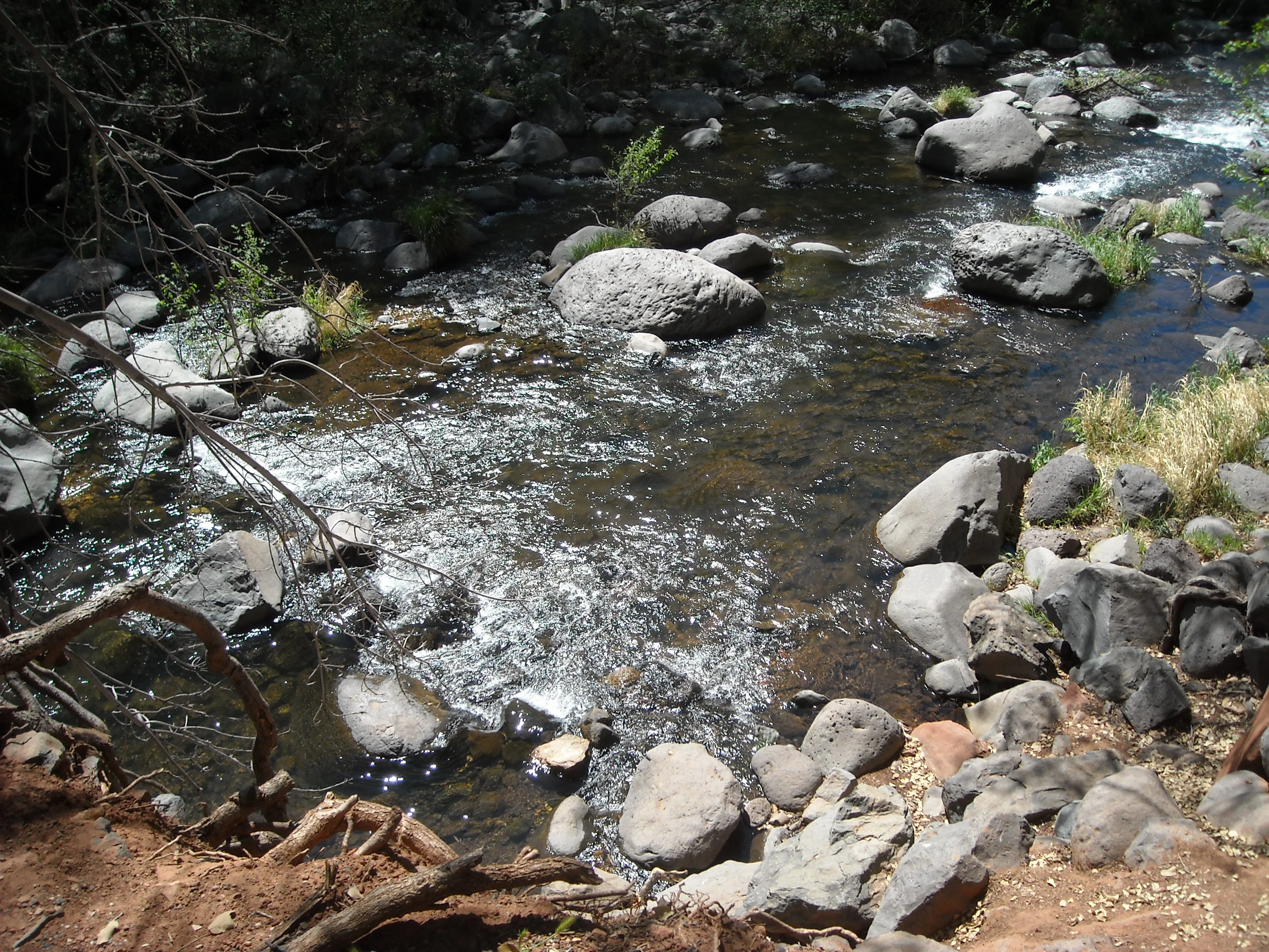 dscn0135.webp