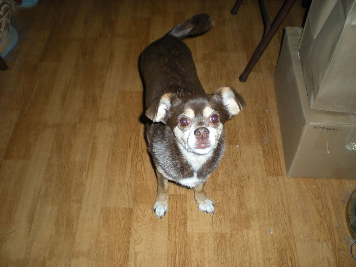 DSCN0193.webp