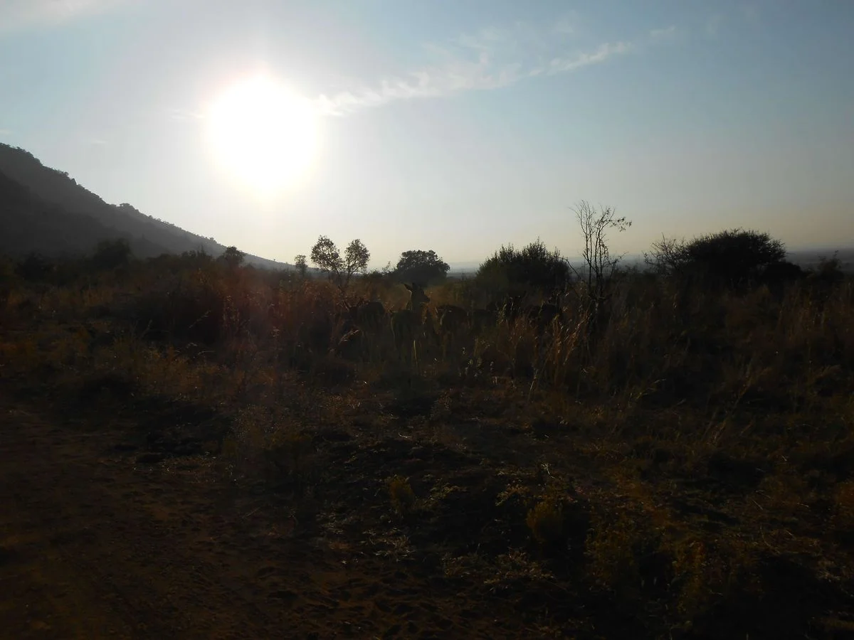 DSCN0197.webp
