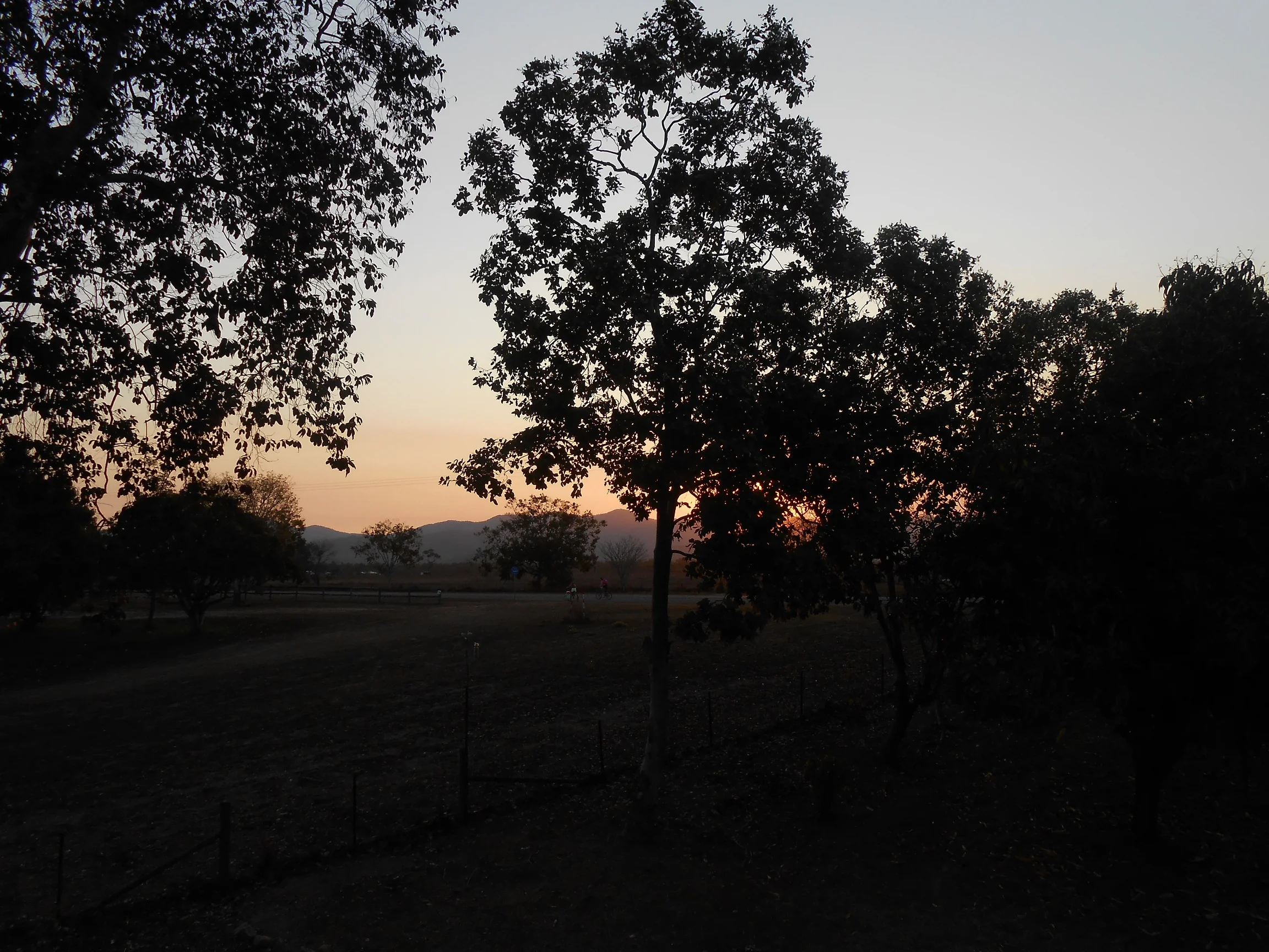DSCN0226.webp