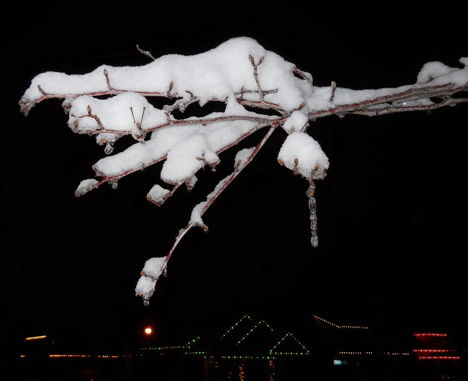 DSCN0235-2.webp