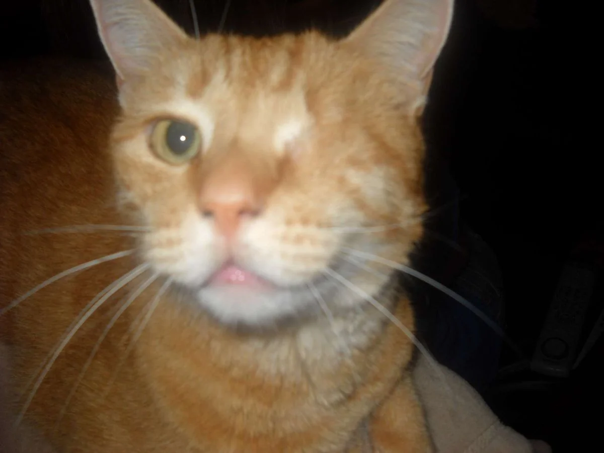 DSCN0262.webp