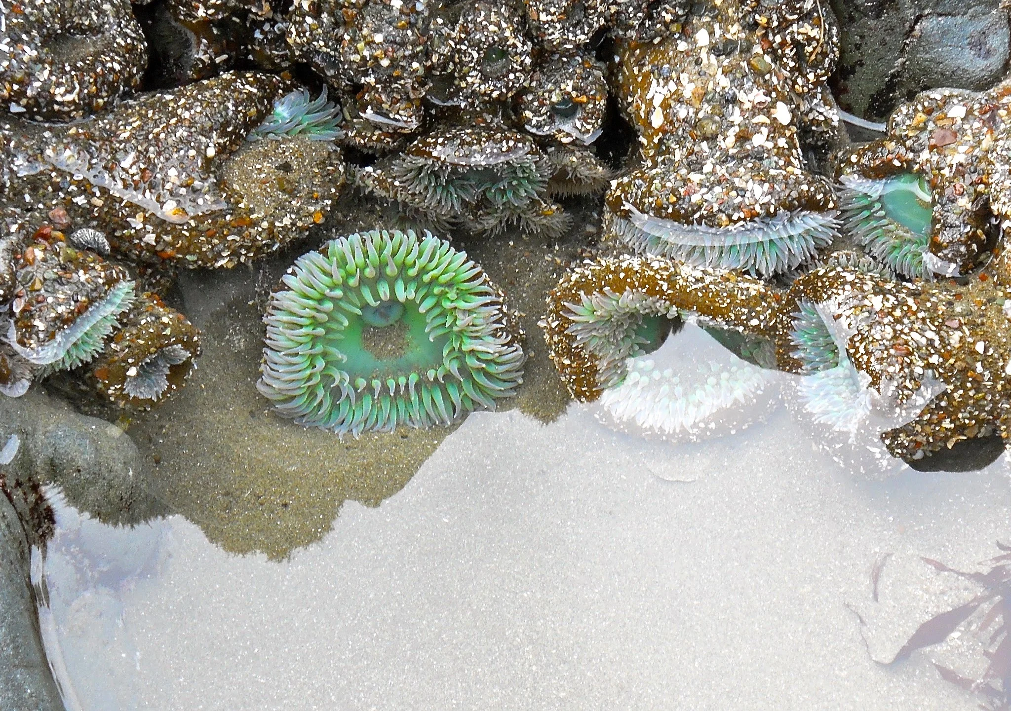 DSCN0262.webp
