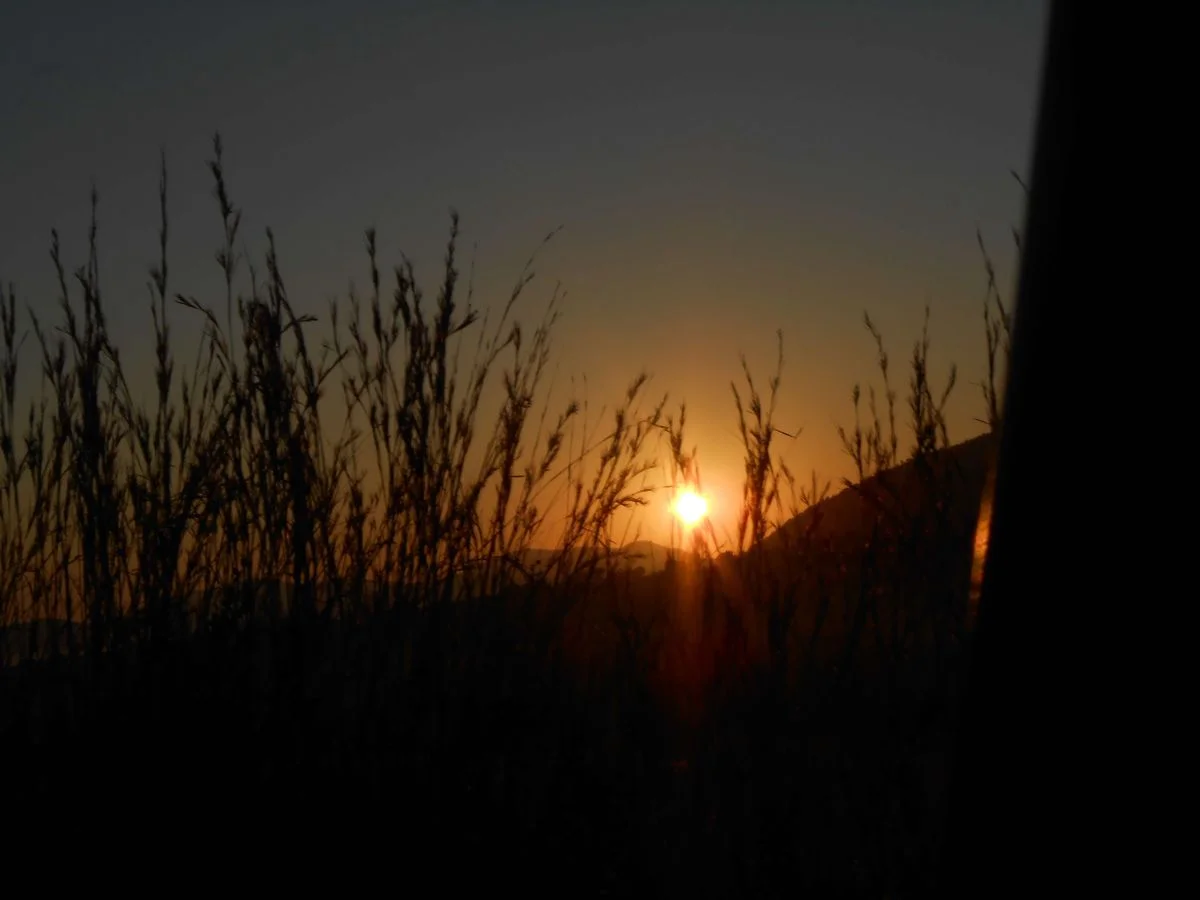 DSCN0290.webp