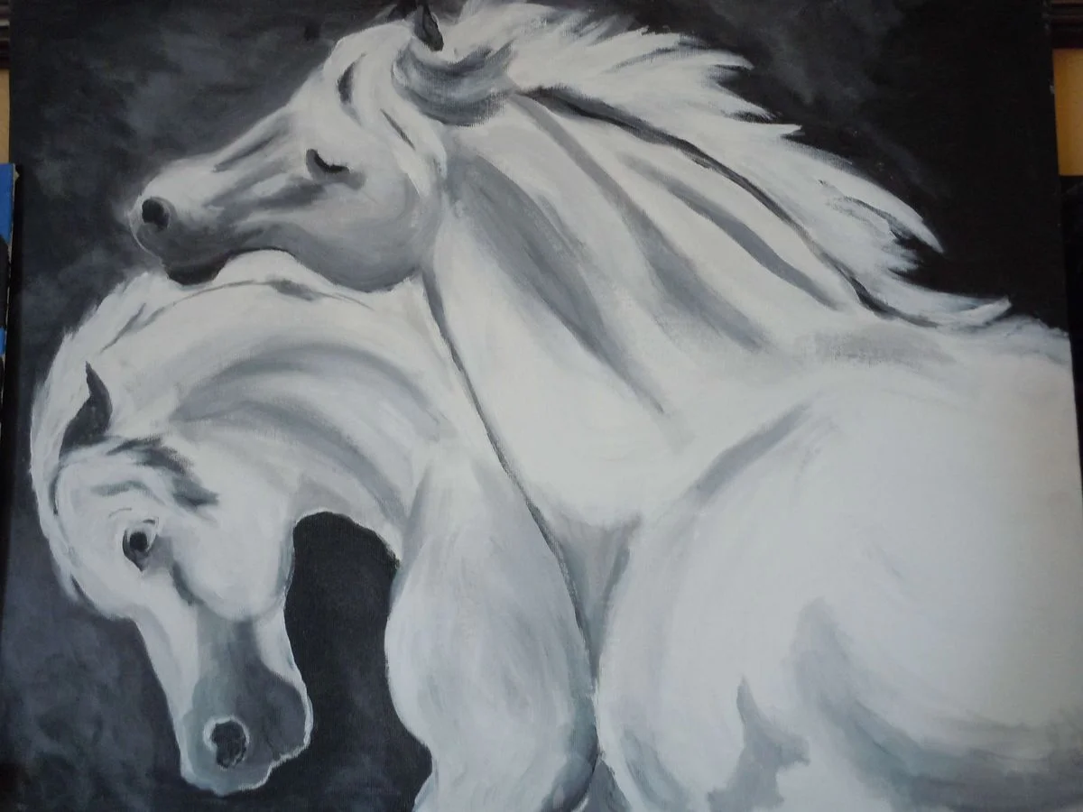 DSCN0401.webp