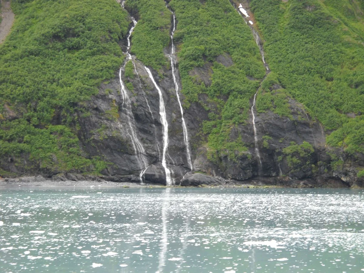 DSCN0479.webp
