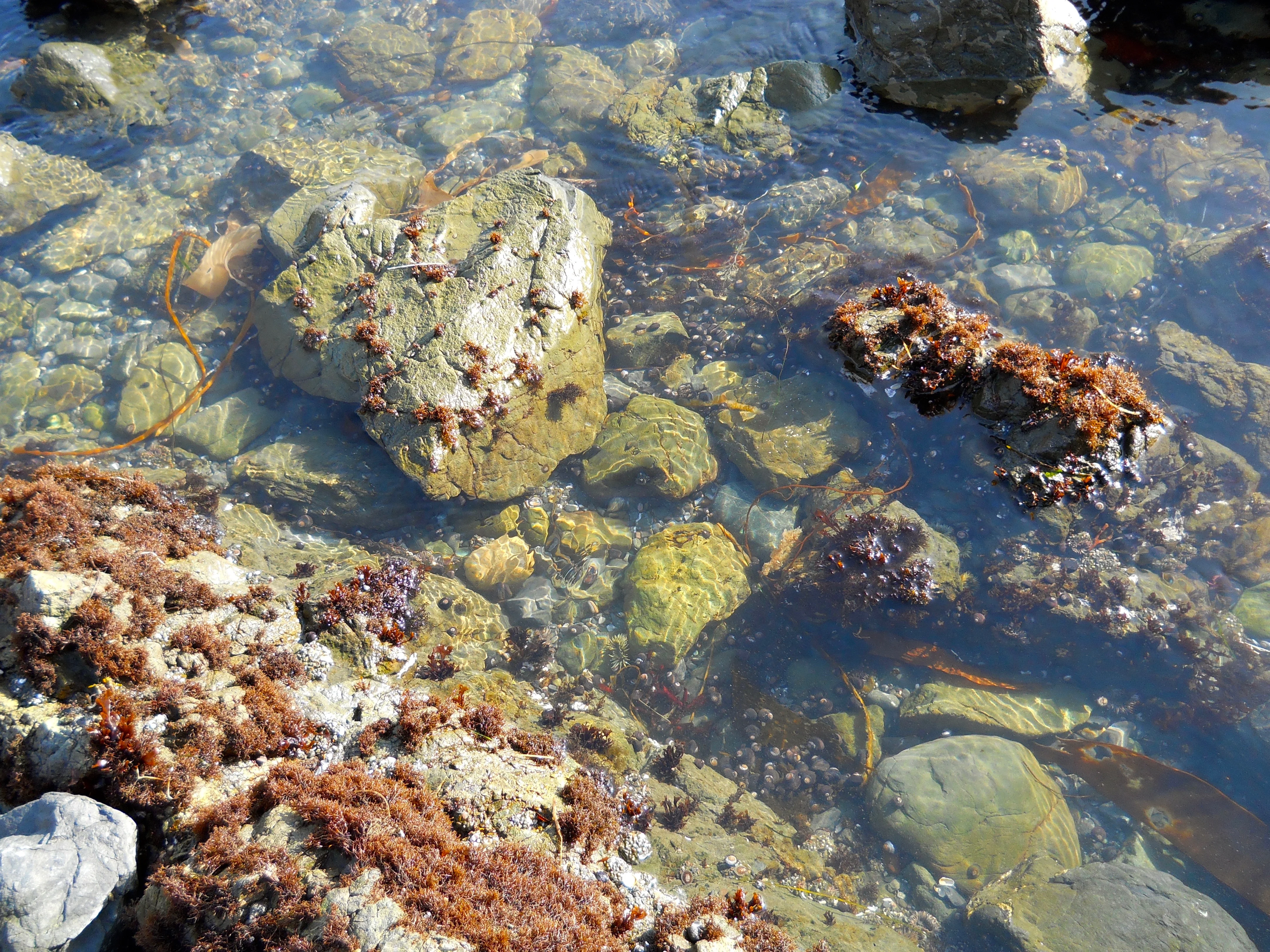 DSCN0482.webp