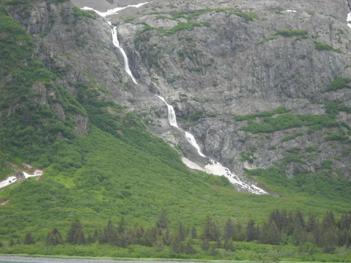 DSCN0495.webp