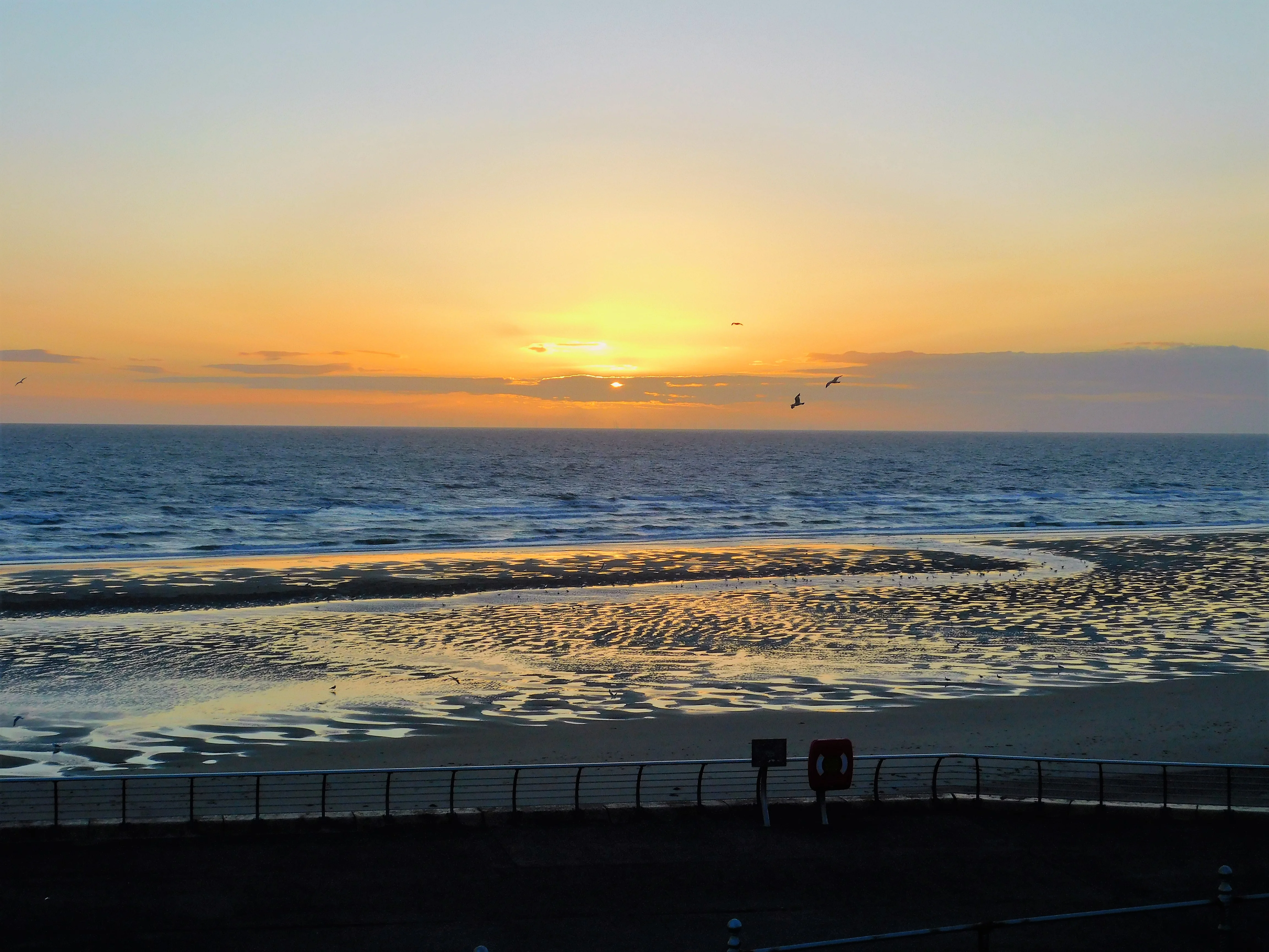 DSCN0703.webp