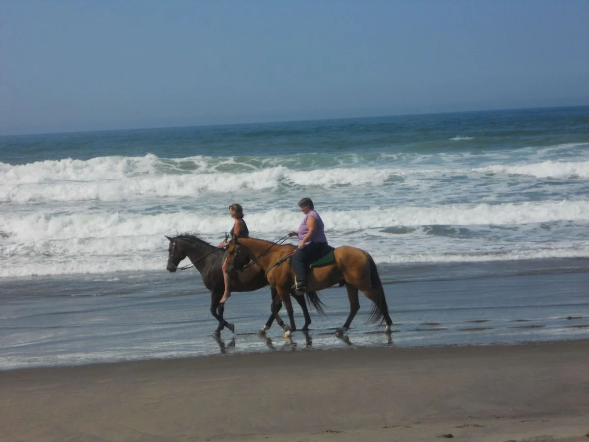 DSCN0940.webp